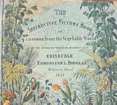 Illustration of the cover of The Instructive Picture Book - click to see a larger illustration